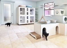 a black cat is standing in the middle of a room with white furniture and shelves