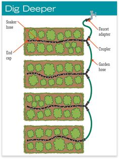 a diagram showing the different types of plants and how they are used to grow them