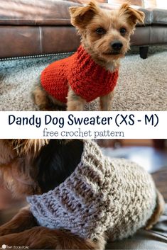 two dogs wearing knitted sweaters sitting on the floor with text overlay that reads, dandy dog sweater xs - m free crochet pattern