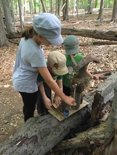 two children and an adult are playing in the woods with a tree trunk that has been cut down