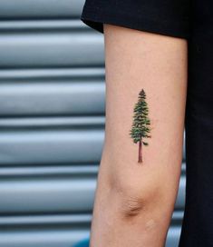 a small pine tree tattoo on the arm