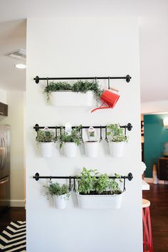 a wall mounted shelf with potted plants on it