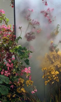 some pink and yellow flowers are in front of a glass wall with steam coming from it