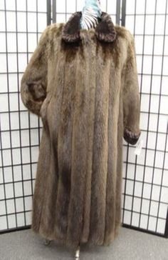 Click to view supersized image Click to view supersized image Click to view supersized image DESCRIPTION: BRAND NEW FULL PELT LONG HAIR BROWN BEAVER FUR COAT WITH WONDERFUL SHEARED BEAVER COLLAR AND CUFFS DESIGN FOR WOMEN. PRODUCED WITH TOP QUALITY AND SELECTED FUR PELTS. IT HAS A WING COLLAR, STRAIGHT SLEEVES WITH CUFFS, 2 SIDE POCKETS AND FRONT HOOK AND EYE CLOSURE. THIS ITEM IS BRAND NEW, CUSTOM MADE. PLEASE PROVIDE US YOUR BODY MEASUREMENTS; HEIGHT, WEIGHT, BUST CIRCUMFERENCE AND SLEEVE LENG Beaver Fur Coat, Raccoon Fur Coat, Full Length Coat, Fur Coat Vintage, Mink Coat, Mink Fur Coat, Fox Fur Coat, Vintage Fur, Faux Fur Throw