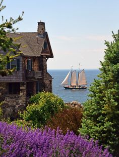 a sailboat is sailing in the water near a house with purple flowers and trees