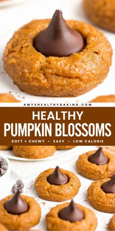 This Thanksgiving dessert idea of spiced pumpkin cookies is irresistible! Not only are these Healthy Pumpkin Blossoms deliciously chewy, but they also have a dark chocolate kiss in the center. This easy fall baking recipe is also clean-eating with a gluten-free option! Healthy Mini Pumpkin Pies, Easy Thanksgiving Desserts Gluten Free, Clean Thanksgiving Dessert, Thanksgiving Dessert Ideas Gluten Free, Gluten Free Pumpkin Desserts Easy, Easy Pumpkin Desserts Healthy, Easy Pumpkin Cookies 2 Ingredients, Healthy Pumpkin Treats, Thanksgiving Healthy Desserts