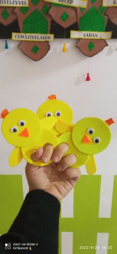 a person holding up some little yellow birds in front of a wall with green and red decorations