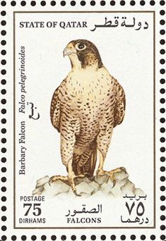 a postage stamp with an image of a falcon on it's back side and the words state of qatar written in arabic