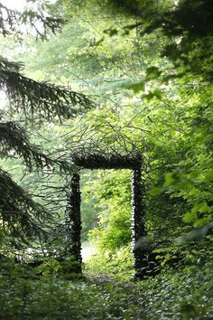 an open doorway in the middle of a forest