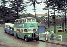 two double decker buses parked next to each other on the side of a road in front of trees