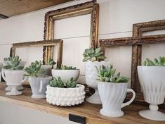 there are many white vases with plants in them on the shelf next to each other