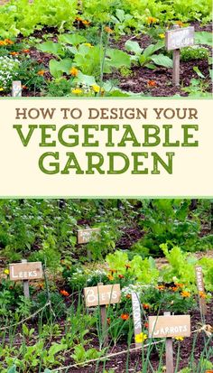 an image of vegetable garden with the words how to design your vegetable garden on it