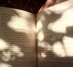 an open book sitting on top of a wooden table next to a leafy tree