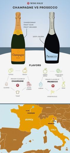 the world's most expensive wines are on display in this infographal poster