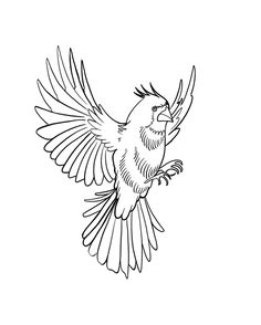 a black and white drawing of a bird with its wings spread out, in the air