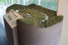 there is a display with moss growing on it