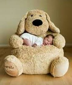 a baby is sleeping in a large stuffed dog