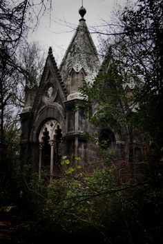 an old abandoned building in the woods on a gloomy day with lots of trees