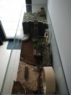 a glass table with some plants and rocks on the ground in front of a window