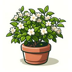 a potted plant with white flowers and green leaves on the top, in front of a white background