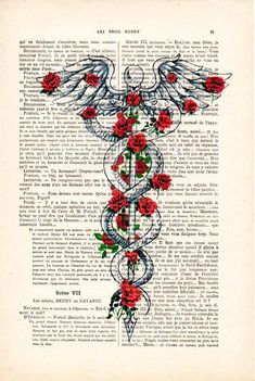 an old book page with roses on it and a medical cadus symbol in the middle