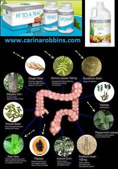 Senna Leaf, Gas Relief, Acacia Gum, Digestive Juice, Slippery Elm, Peppermint Leaves, Ginger Root, Fennel Seeds