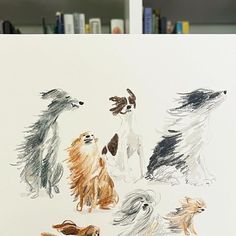 a drawing of dogs in different colors and sizes on a white paper with books behind them