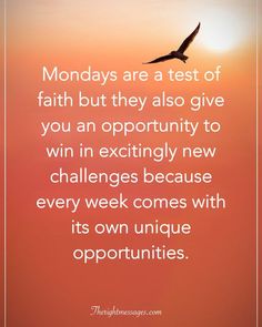 a bird flying in the sky with text that reads, mondays are a test of faith but they also give you an opportunity to win