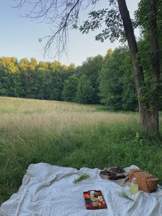 an open book on a blanket in the middle of a field with trees and grass