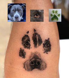 a dog's paw is shown with four different pictures on it, including an image of a dog's face