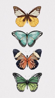 four different colored butterflies sitting on top of each other's wings, all facing the same direction