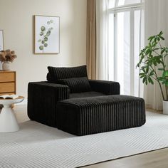 a living room filled with furniture and a potted plant