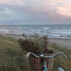 a bicycle parked next to the beach with grass in front of it and water in the background