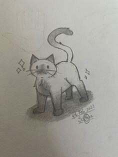 a pencil drawing of a cat with music notes on it's tail and eyes