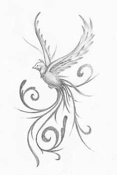 a drawing of a bird with swirls on it's back and wings flying in the air