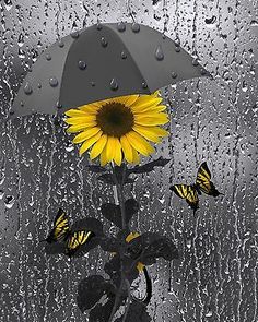 a sunflower and butterflies sitting on top of a rain covered window with water droplets