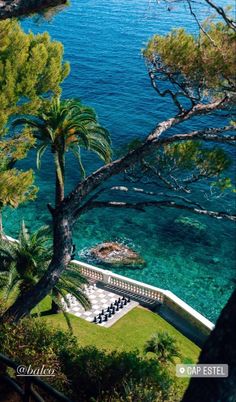 an aerial view of the sea and trees