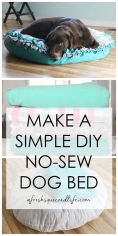 a dog laying on top of a bed with the words make a simple diy no - sew dog bed