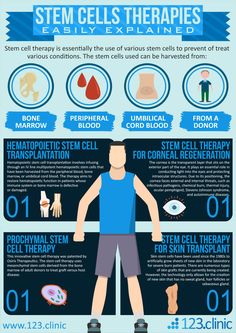 Cell And Molecular Biology, Specialised Cells Notes, Specialised Cells, Mesenchymal Stem Cells, Typical Plant Cell