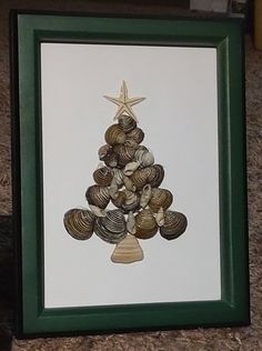 a christmas tree made out of seashells in a frame