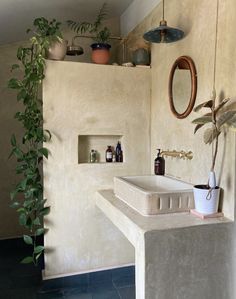 a bathroom with a sink, potted plant and mirror on the wall next to it