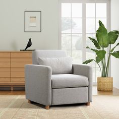 a living room with a chair, potted plant and window