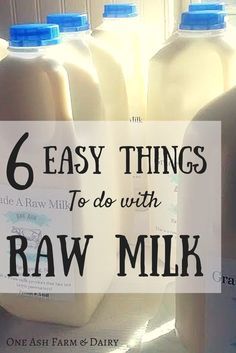 6 {Easy} Things To Do With Raw Milk - One Ash Homestead Milk Ideas, Farm Fresh Milk, Making Butter, Nourishing Traditions, Dairy Cow, Cheese Pairings