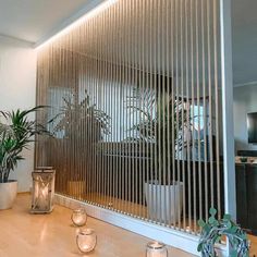 a living room filled with lots of plants next to a wall mounted heater on top of a hard wood floor