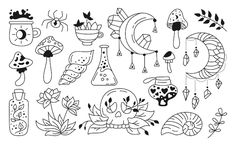 an image of doodles with plants and flowers on them in black and white