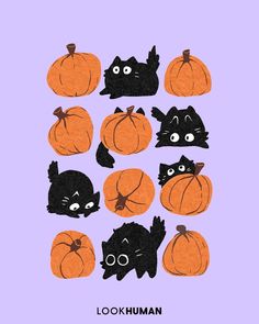 a bunch of cats and pumpkins on a purple background with the words look human