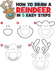 how to draw a reindeer in 5 easy steps step by step instructions for children and adults