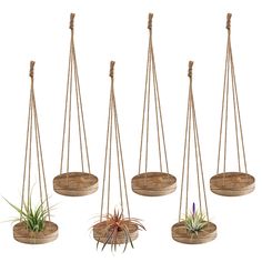 PRICES MAY VARY. [Rustic Decorations] Our hanging air plant holders are made using the burnt wood process, resulting in unique colors and textures on the surface. They blend well into the surroundings and every visitor to your home will be impressed by these cute decorations. Tips: This product does not contain any plants. [Reliable & Durable] These air plant hangers made from quality wood are thick and moisture resistant. Four jute ropes are so strong that you don't have to worry about them bre Air Fern, Air Plant Hanger, Succulent Display, Support Pour Plante, Burnt Wood, Hanging Plant Holder, Mini Cactus, Support Plante, Small Succulents