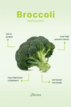 Broccoli Health Benefits, Fruit Benefits, Green Superfood, Herbal Supplements, Natural Supplements, Health Advice, Classic Fashion, Alternative Medicine