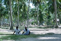 two men sitting on the ground under palm trees